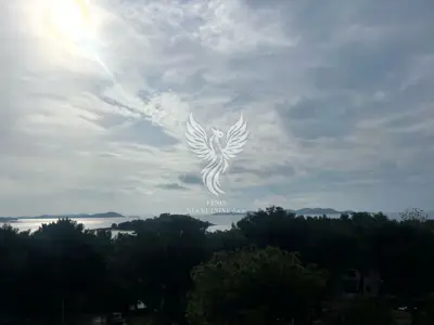 Stan, Pakoštane, 2 spavaće sobe i prostrana terasa - 4