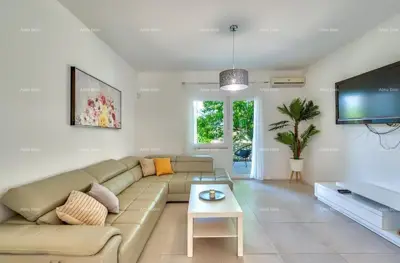 Kuća 260 m², Ližnjan - bazen i mediteranski vrt - 9