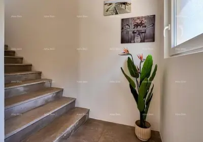 Kuća 260 m², Ližnjan - bazen i mediteranski vrt - 22