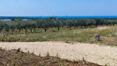 Kaštelir, građevinska parcela, pravilnog oblika, pogled more!
