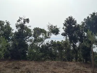 Istra, Kavran, zemljište, 500 m², 50 m od mora - 7
