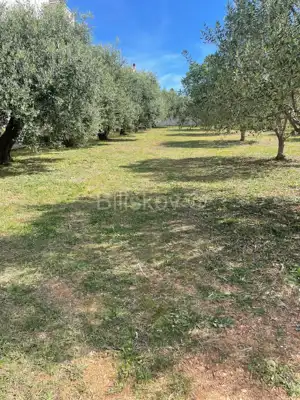 Građevinsko zemljište 600 m², Biograd na Moru, 200 m od mora