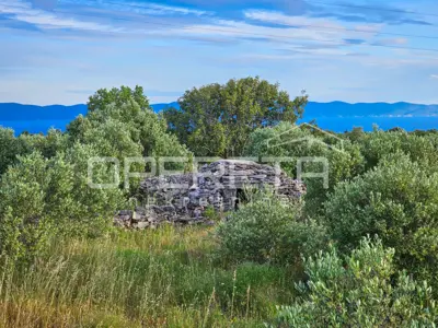 Landwirtschaftliches Anwesen 90.209 m², Zastražišće, Hvar, Agrotourismus - 12