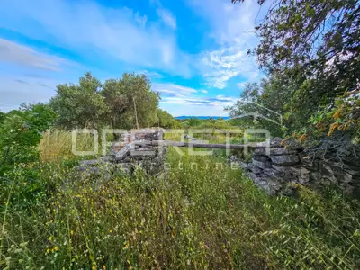 Landwirtschaftliches Anwesen 90.209 m², Zastražišće, Hvar, Agrotourismus - 20