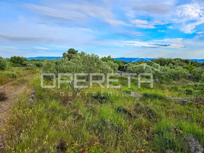 Landwirtschaftliches Anwesen 90.209 m², Zastražišće, Hvar, Agrotourismus - 17