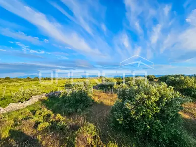 Landwirtschaftliches Anwesen 90.209 m², Zastražišće, Hvar, Agrotourismus - 15