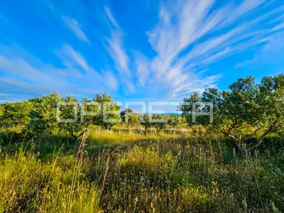 Landwirtschaftliches Anwesen 90.209 m², Zastražišće, Hvar, Agrotourismus - 16