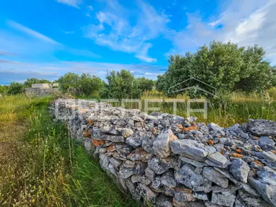 Landwirtschaftliches Anwesen 90.209 m², Zastražišće, Hvar, Agrotourismus - 9