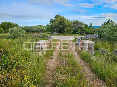 Landwirtschaftliches Anwesen 90.209 m², Zastražišće, Hvar, Agrotourismus - 4
