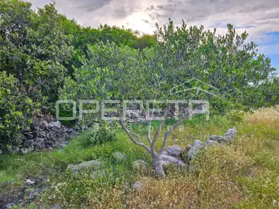 Landwirtschaftliches Anwesen 90.209 m², Zastražišće, Hvar, Agrotourismus - 22