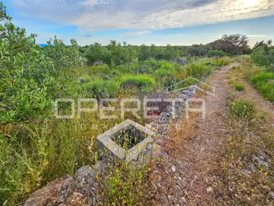 Landwirtschaftliches Anwesen 90.209 m², Zastražišće, Hvar, Agrotourismus - 19