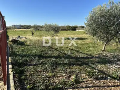 Landwirtschaftsgrundstück, Crno - in der Nähe von Zadar, eingezäunt und gepflegt - 10