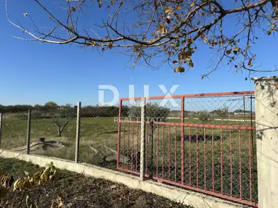 Landwirtschaftsgrundstück, Crno - in der Nähe von Zadar, eingezäunt und gepflegt
