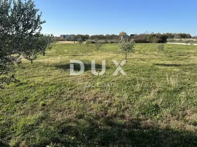 Landwirtschaftsgrundstück, Crno - in der Nähe von Zadar, eingezäunt und gepflegt - 8