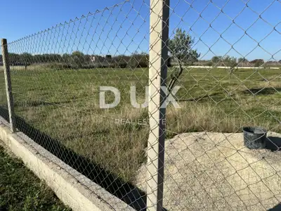 Landwirtschaftsgrundstück, Crno - in der Nähe von Zadar, eingezäunt und gepflegt - 5