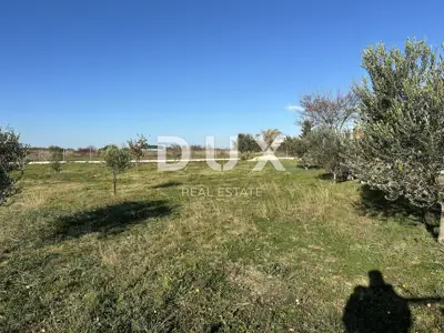 Landwirtschaftsgrundstück, Crno - in der Nähe von Zadar, eingezäunt und gepflegt - 9