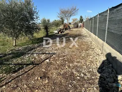 Landwirtschaftsgrundstück, Crno - in der Nähe von Zadar, eingezäunt und gepflegt - 11