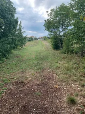 Baugrundstück 520 m², Svetvinčenat, Anteil am Weg - 6