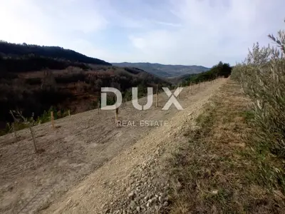 Poljoprivredno zemljište 24.200 m², Grimalda - maslinik i potok - 18