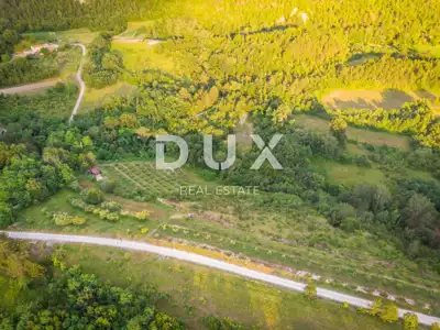 Poljoprivredno zemljište 24.200 m², Grimalda - maslinik i potok - 8