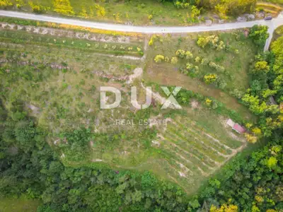 Poljoprivredno zemljište 24.200 m², Grimalda - maslinik i potok - 6