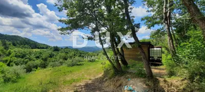 Poljoprivredno zemljište 24.200 m², Grimalda - maslinik i potok - 13