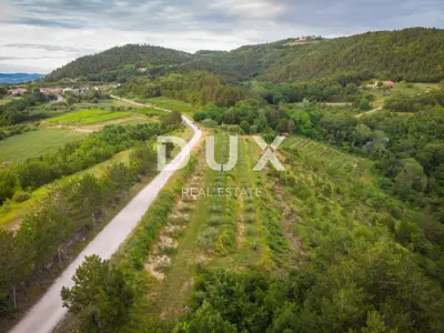 Poljoprivredno zemljište 24.200 m², Grimalda - maslinik i potok - 7