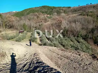 Poljoprivredno zemljište 24.200 m², Grimalda - maslinik i potok - 16