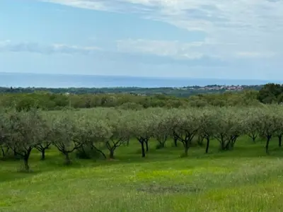 Building plot 750 m², Kaštelir-Labinci, with asphalt access - 3