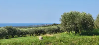 Building plot 750 m², Kaštelir-Labinci, with asphalt access