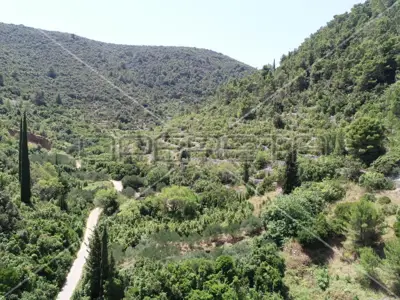 Landwirtschaftsfläche 762 m², Račišće - 180 m vom Meer - 6