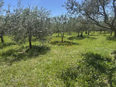 Građevinsko zemljište 426 m², Šegotići - blizu mora