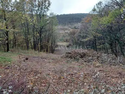 Landwirtschaftsfläche, Križišće, 1.924 m² an der asphaltierten Straße - 3