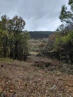 Landwirtschaftsfläche, Križišće, 1.924 m² an der asphaltierten Straße - 2