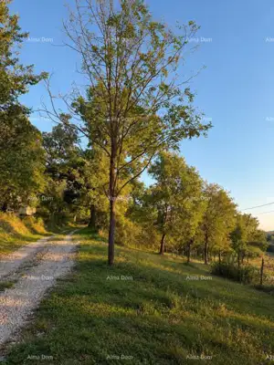 Bauland, Roč - atemberaubender Panoramablick auf die istrische Landschaft - 2