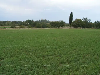 Zemljište 20 000 m², Žminj - blizina centra