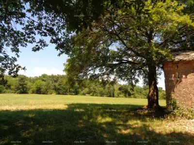 Zemljište 20 000 m², Žminj - blizina centra - 8
