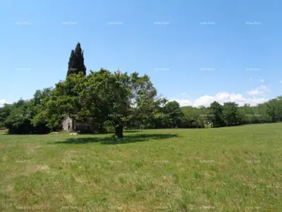 Zemljište 20 000 m², Žminj - blizina centra - 9