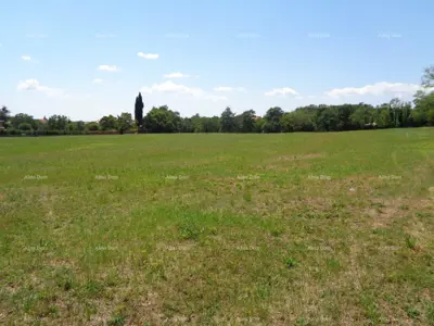 Zemljište 20 000 m², Žminj - blizina centra - 11