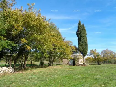 Zemljište 20 000 m², Žminj - blizina centra - 2
