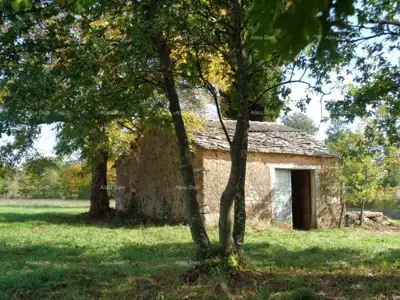 Zemljište 20 000 m², Žminj - blizina centra - 3