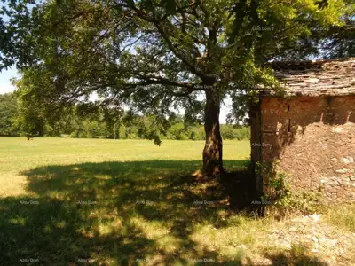Zemljište 20 000 m², Žminj - blizina centra - 14