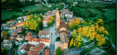 Zemljište 20 000 m², Žminj - blizina centra - 7