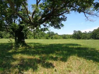Zemljište 20 000 m², Žminj - blizina centra - 10