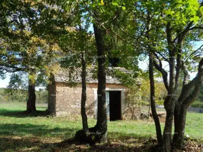 Zemljište 20 000 m², Žminj - blizina centra - 4