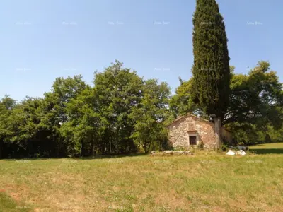 Zemljište 20 000 m², Žminj - blizina centra - 16