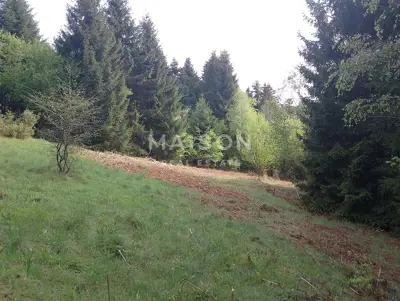 Agricultural land 16,000 m², Crni Lug - by the road - 6