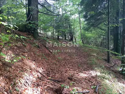 Agricultural land 16,000 m², Crni Lug - by the road - 5