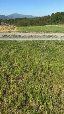 Plot 2,535 m², Sveti Ilija - Beletinec, building and agricultural - 2