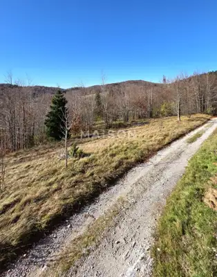 Building plot 5,475 m², Stari Laz - peace and view - 4